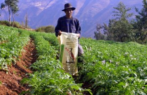 El hombre en el Jardin del Eden.